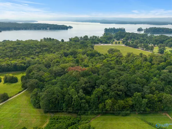 Scottsboro, AL 35768,4.06 acres County Road 377