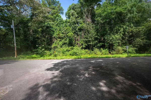 Scottsboro, AL 35768,4.06 acres County Road 377