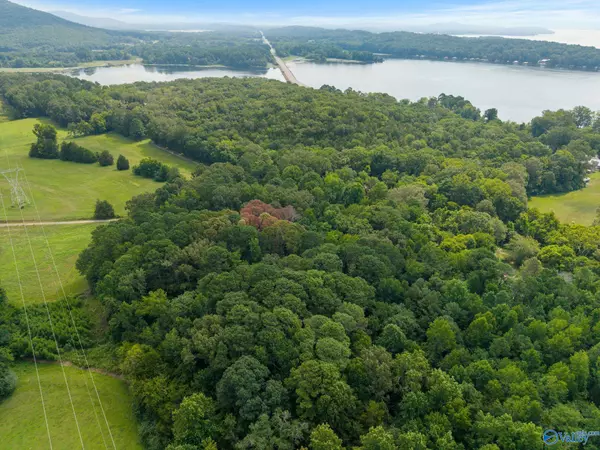 Scottsboro, AL 35768,4.06 acres County Road 377