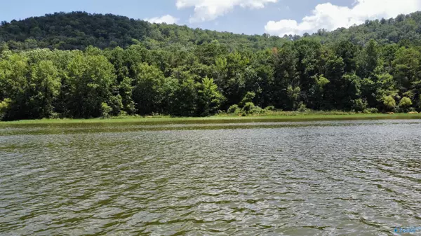 Ashville, AL 35953,148 acres County Road 21