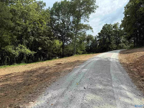 Pulaski, TN 38478,12 Acres Bunker Hill Road