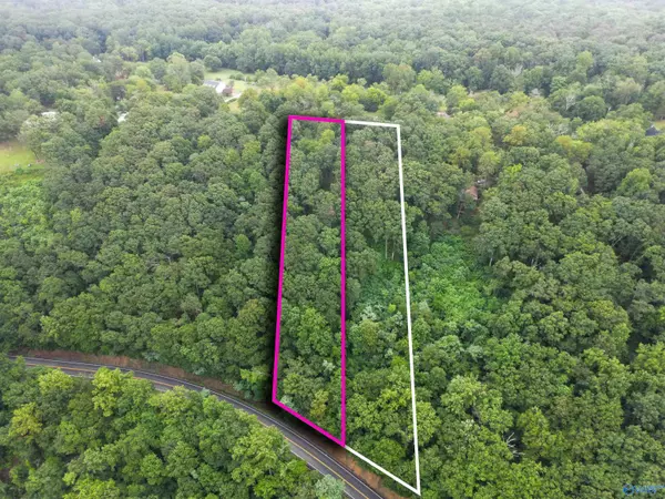 Mentone, AL 35984,2.59 ac Scenic Highway