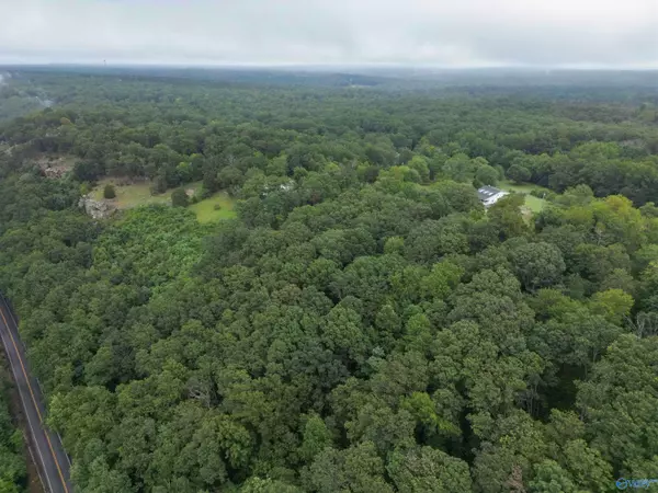 Mentone, AL 35984,2.59 ac Scenic Highway