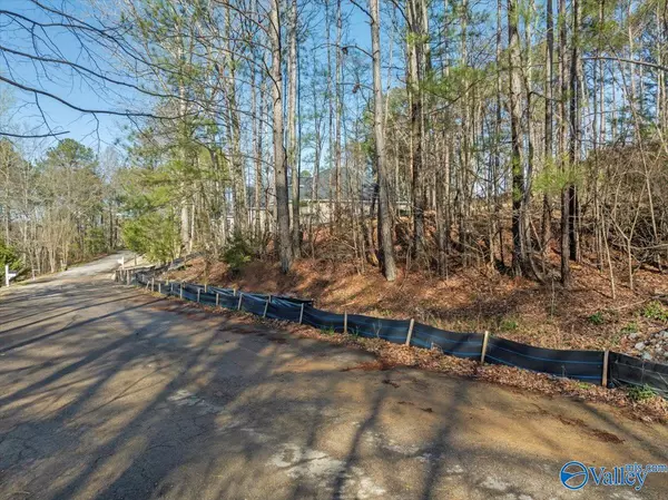Cherokee Ridge, AL 35175,Lot 223 Woodmont Drive