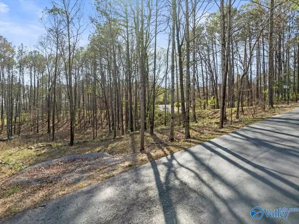 Cherokee Ridge, AL 35175,Lot 247 Cherokee Ridge Court