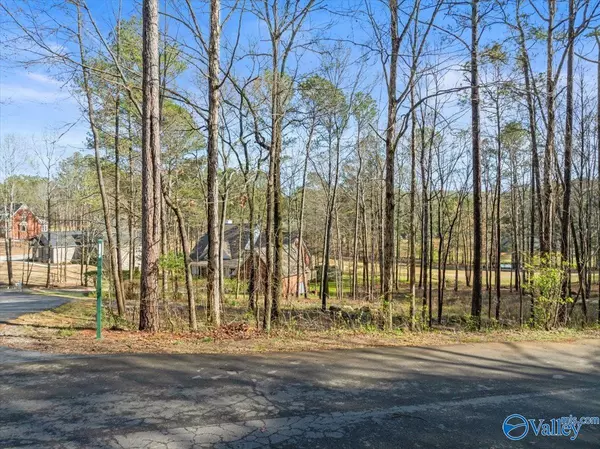 Cherokee Ridge, AL 35175,Lot 247 Cherokee Ridge Court
