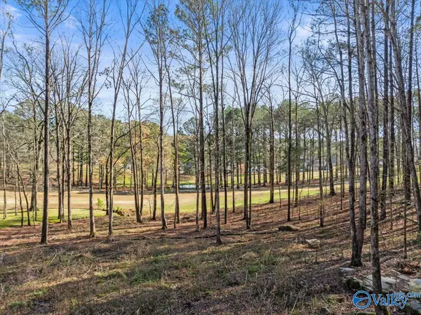 Cherokee Ridge, AL 35175,Lot 247 Cherokee Ridge Court