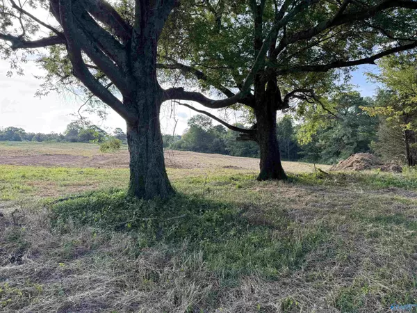 Grant, AL 35747,2.17 Baker Mountain Road