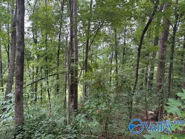 Reece City, AL 35954,124 Cedar Lane