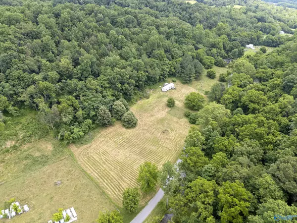 Taft, TN 38488,55 Thompson Hollow Road