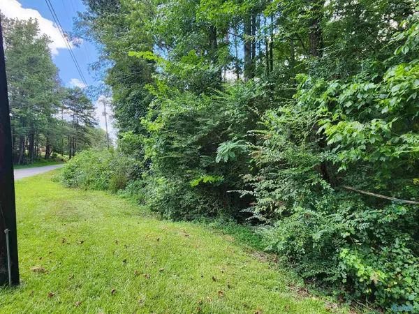 Oneonta, AL 35121,2.6 acres Champion Road