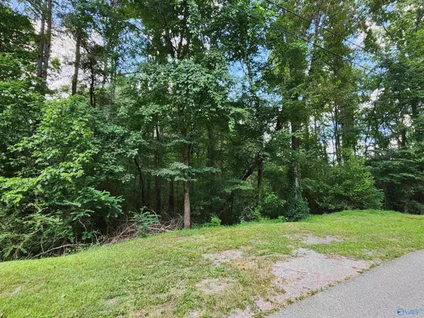 Oneonta, AL 35121,2.6 acres Champion Road