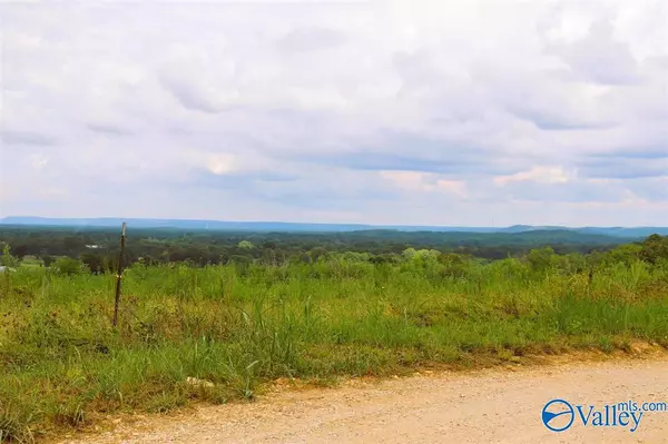 Danville, AL 35619,3 Acres County Road 198