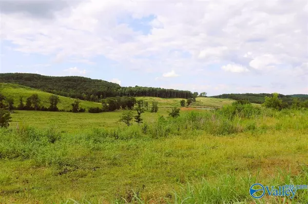 Danville, AL 35619,3 Acres County Road 198