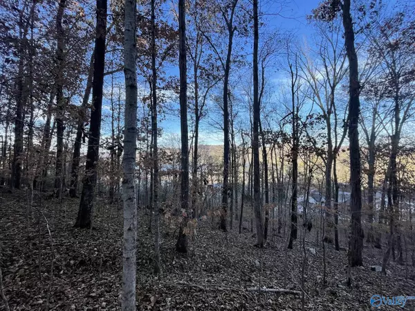 Grant, AL 35747,4.08 acres Mitchell Hollow Road