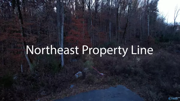 Grant, AL 35747,4.08 acres Mitchell Hollow Road