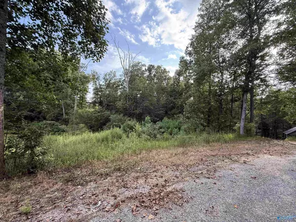 Cullman, AL 35058,0.66 AC County Road 1606