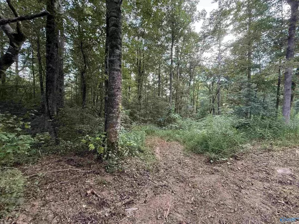 Cullman, AL 35058,0.66 AC County Road 1606