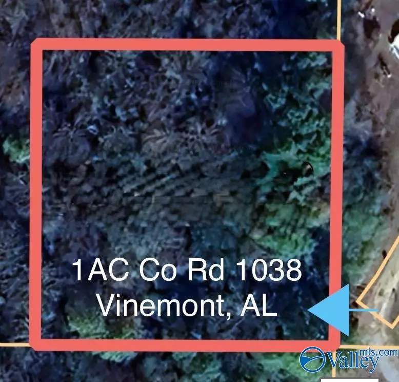 Vinemont, AL 35179,1AC County Road 1038