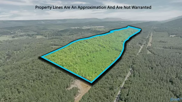 13 County Road 759, Valley Head, AL 35989
