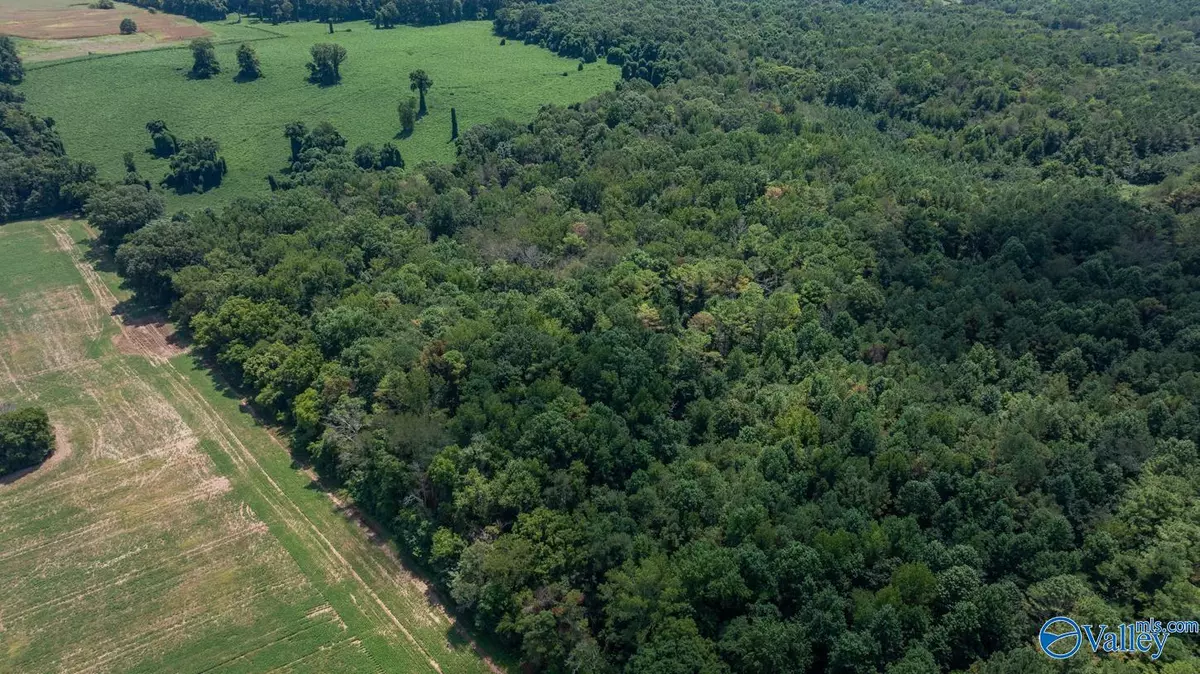 Toney, AL 35773,4 Acres Carters Gin Road