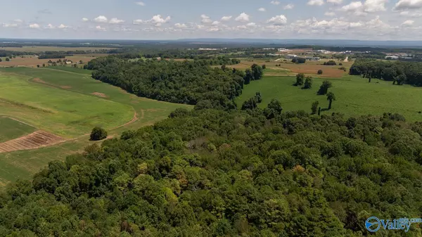 Toney, AL 35773,4 Acres Carters Gin Road