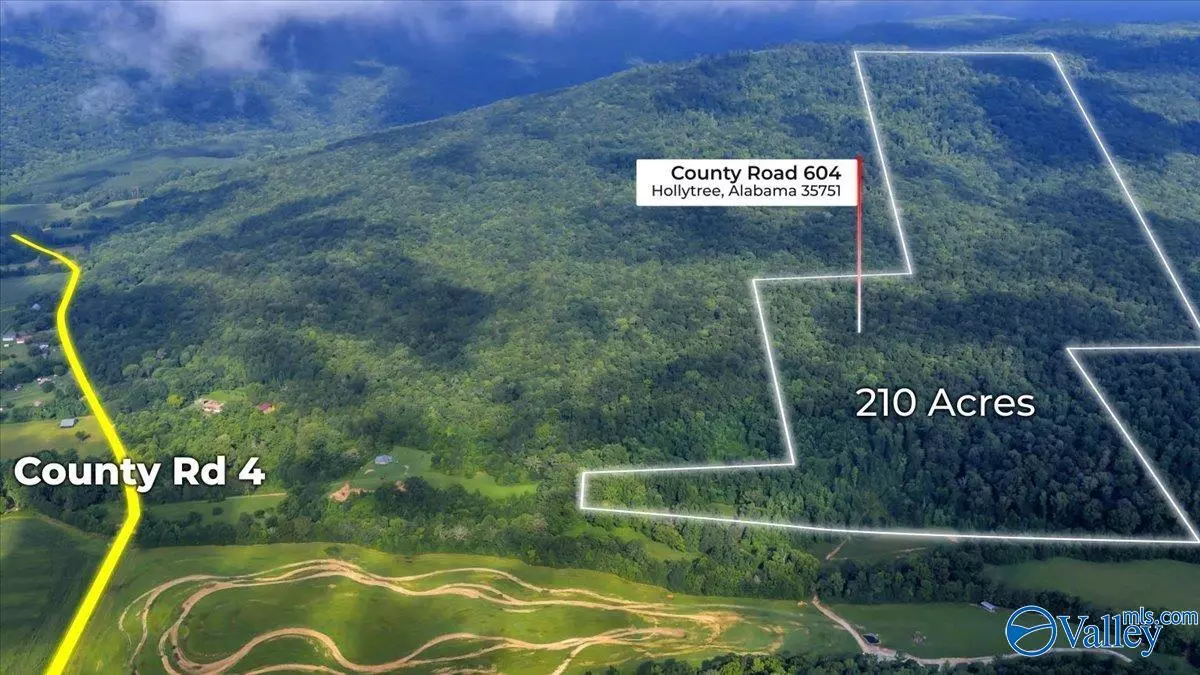 Hollytree, AL 35751,210 Acres County Road 604