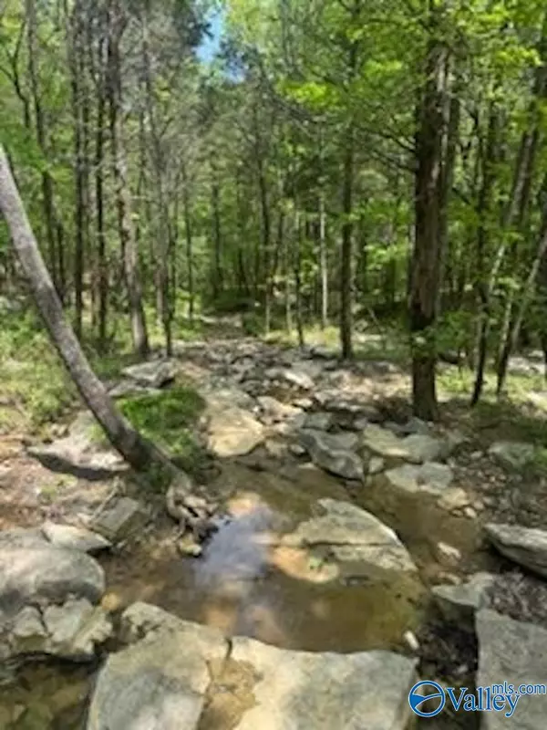 Hollytree, AL 35751,210 Acres County Road 604