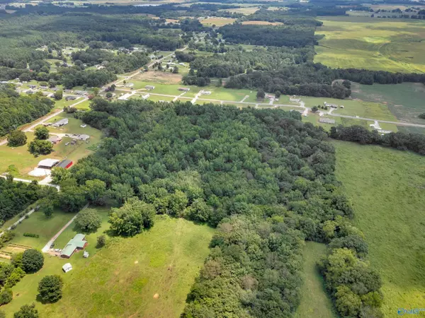 Leighton, AL 35646,9.84 Jarmon Lane