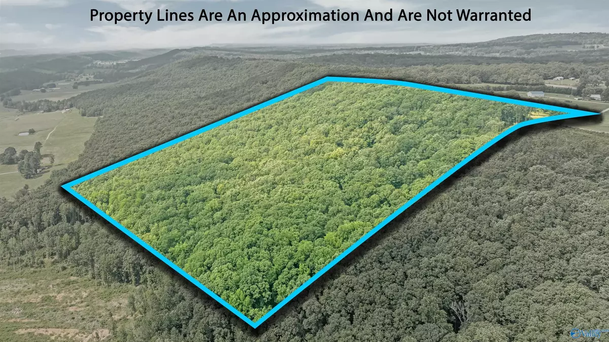 Henagar, AL 35971,14698 Alabama Highway 117