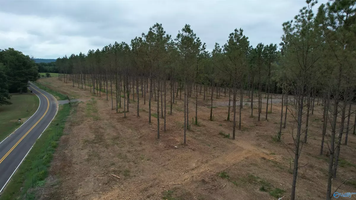 Falkville, AL 35622,6.6 Acres Mount Nebo Road