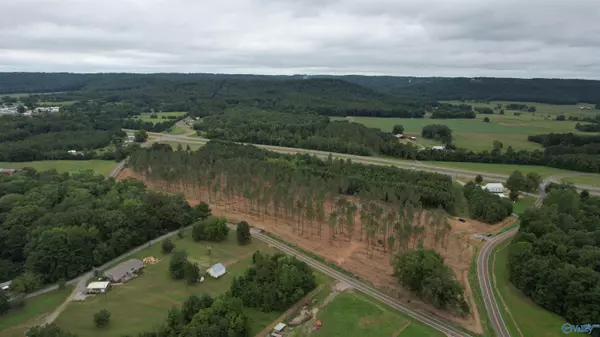 Falkville, AL 35622,6.6 Acres Mount Nebo Road