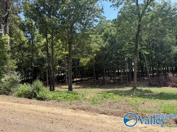 Athens, AL 35614,Tract 1 Romine Road