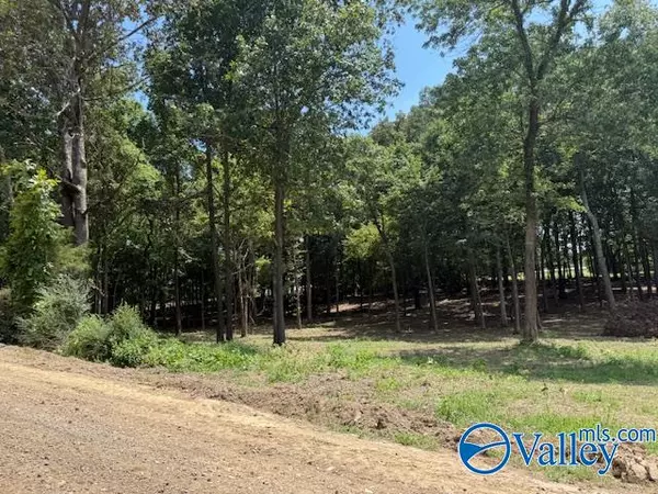 Athens, AL 35614,Tract 1 Romine Road