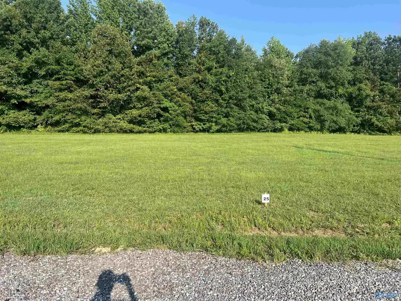Lot 25 County Road 1057, Cedar Bluff, AL 35959