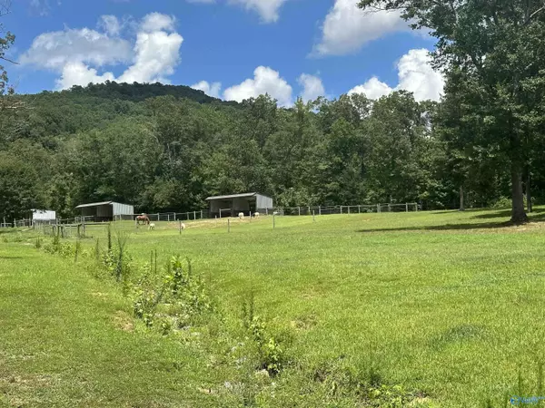 Scottsboro, AL 35769,304 Carlton Road