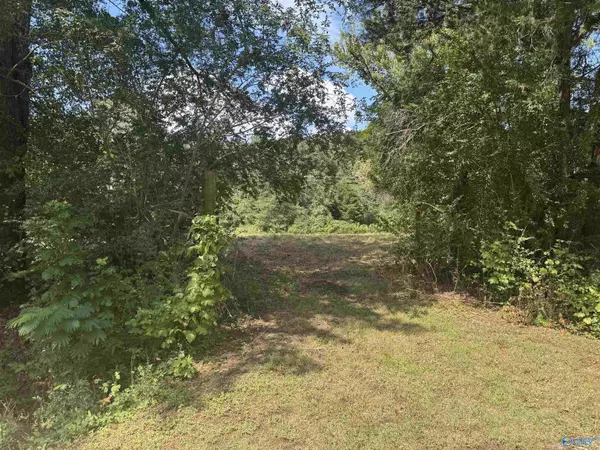Lot 1 Word Mountain Road, Grant, AL 35747