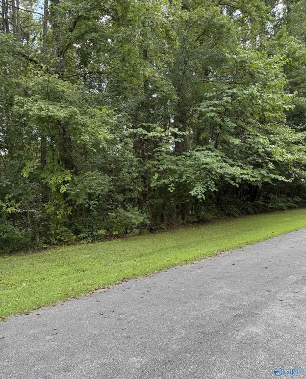 LOT 45, 46 Woodside Street, Childersburg, AL 35044