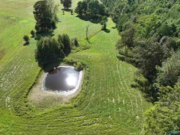 Elkmont, AL 35620,26691 Lambert Road