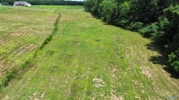 Elkmont, AL 35620,Tract 1 Hays Mill Road