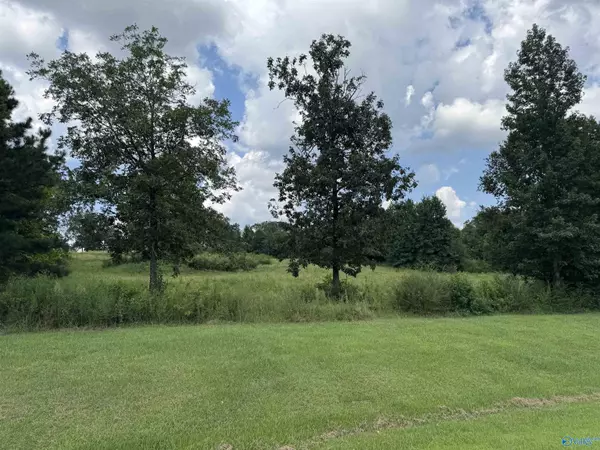1.75 ac Alabama Highway 157,  Town Creek,  AL 35672