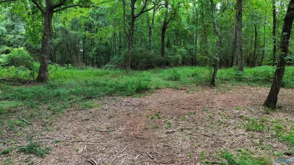 Athens, AL 35611,Tract 3 Hawkins Drive