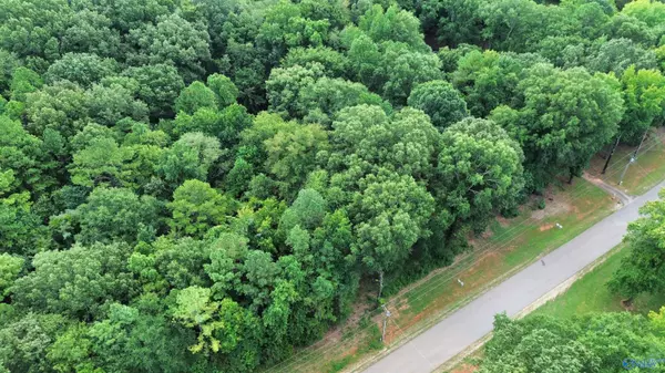 Athens, AL 35611,Tract 3 Hawkins Drive