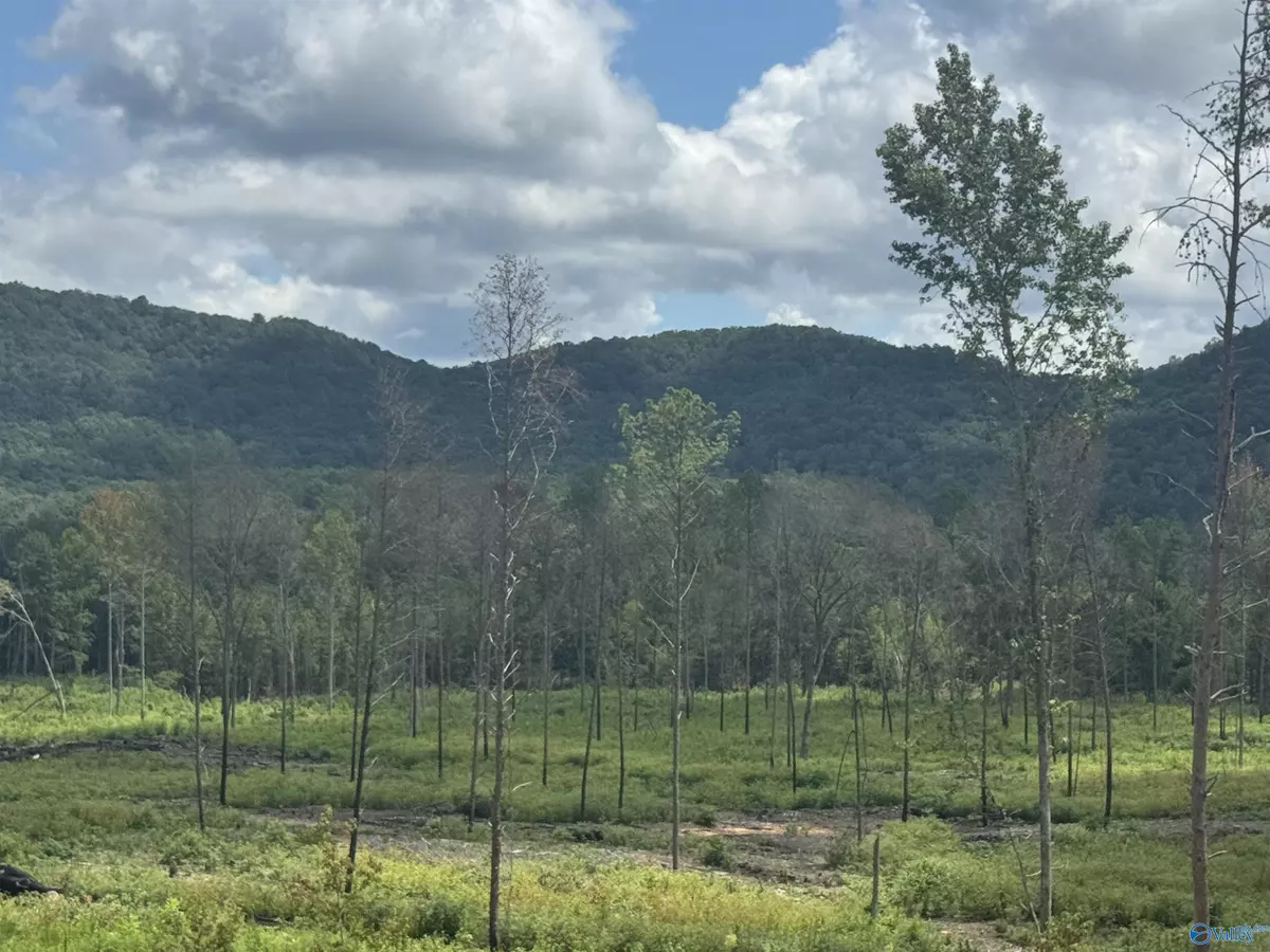 Gaylesville, AL 35973,Lot 15 County Road 794