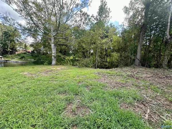 Centre, AL 35960,Lot 4 County Road 520