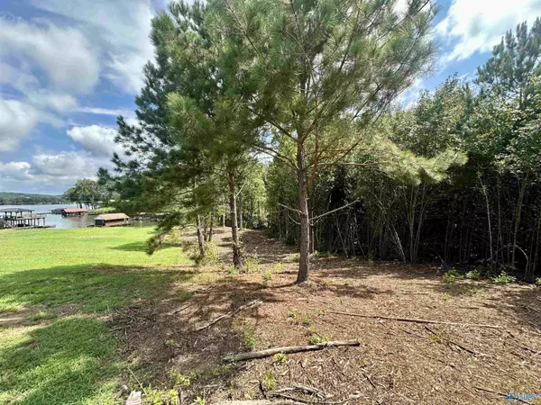 Centre, AL 35960,Lot 4 County Road 520