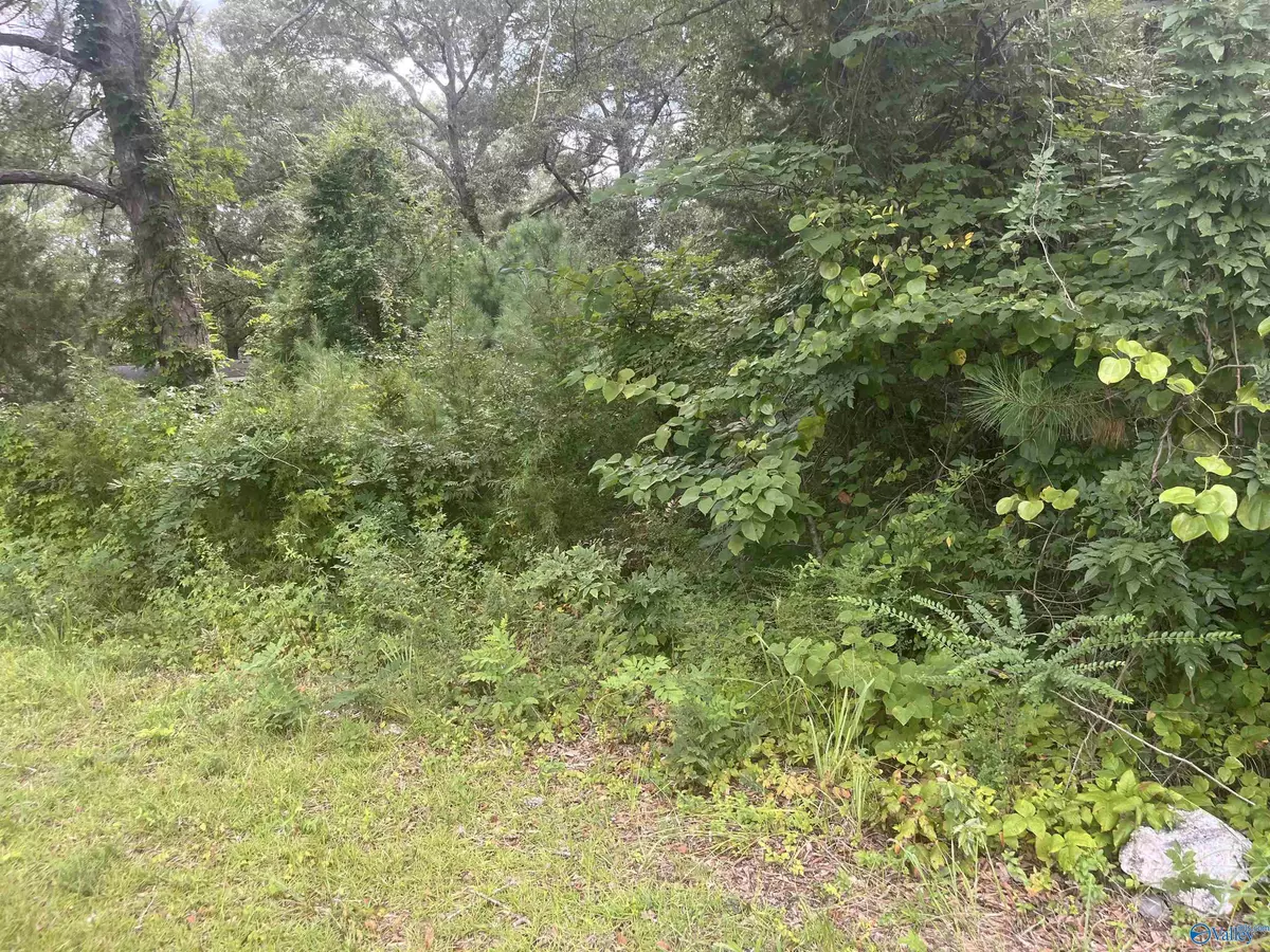 Glencoe, AL 35905,Lot 18 College Street