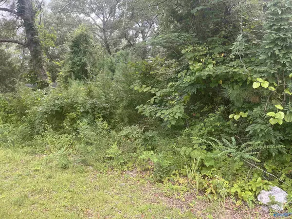 Lot 18 College Street, Glencoe, AL 35905