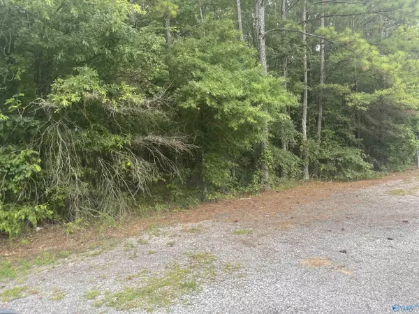 Gadsden, AL 35901,0 E Meighan Boulevard