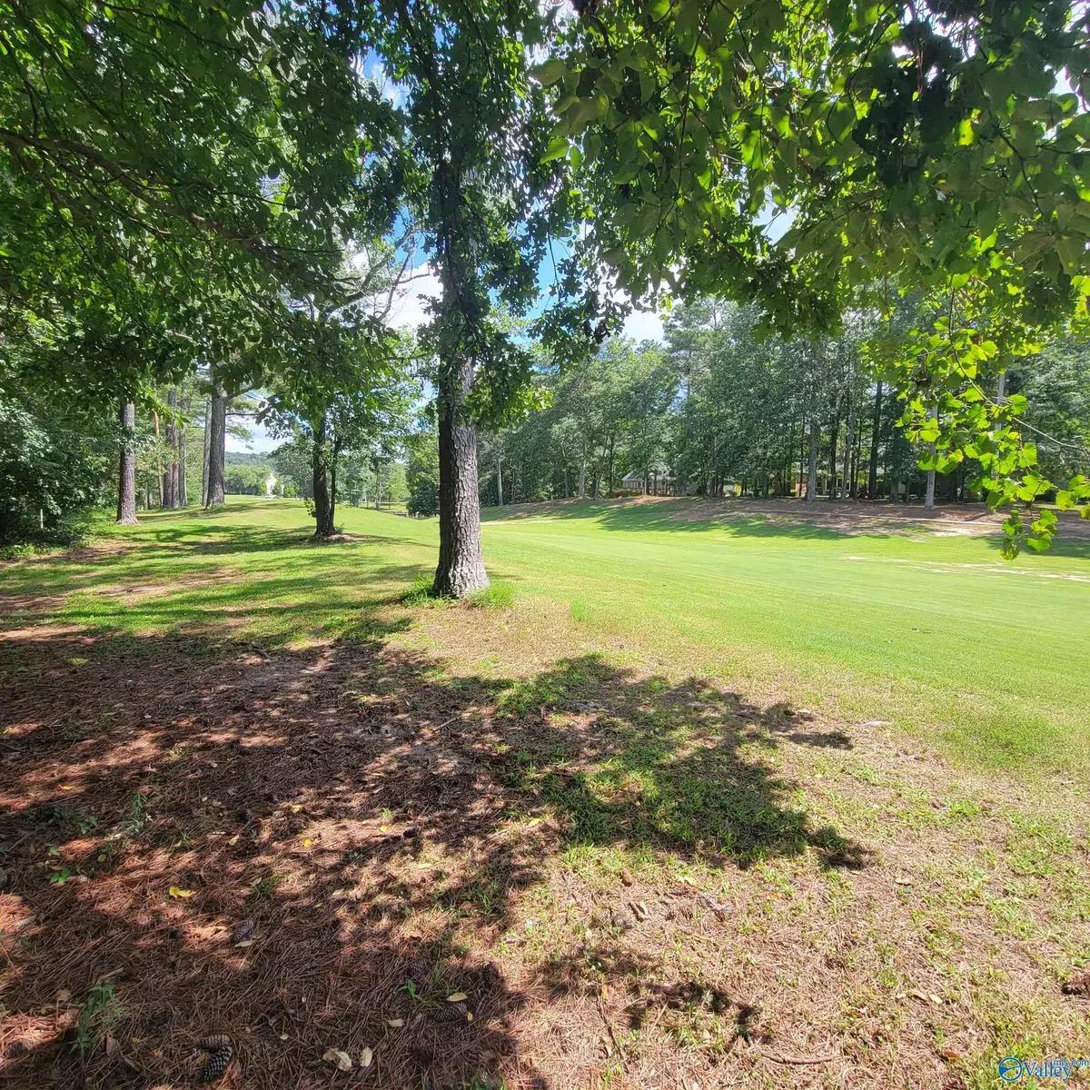 Union Grove, AL 35175,LOT 106 & 107 Creekwood Drive